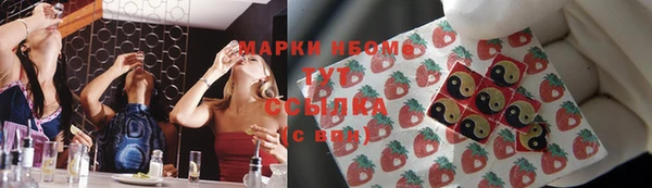 гидра Бронницы