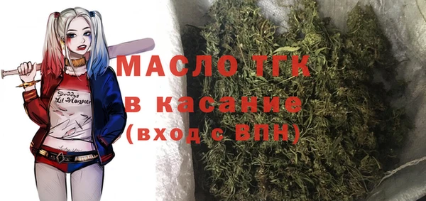 гидра Бронницы