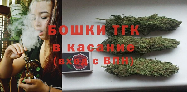 гидропоника Бородино