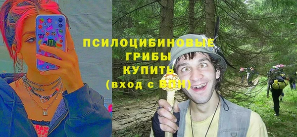 гидра Бронницы